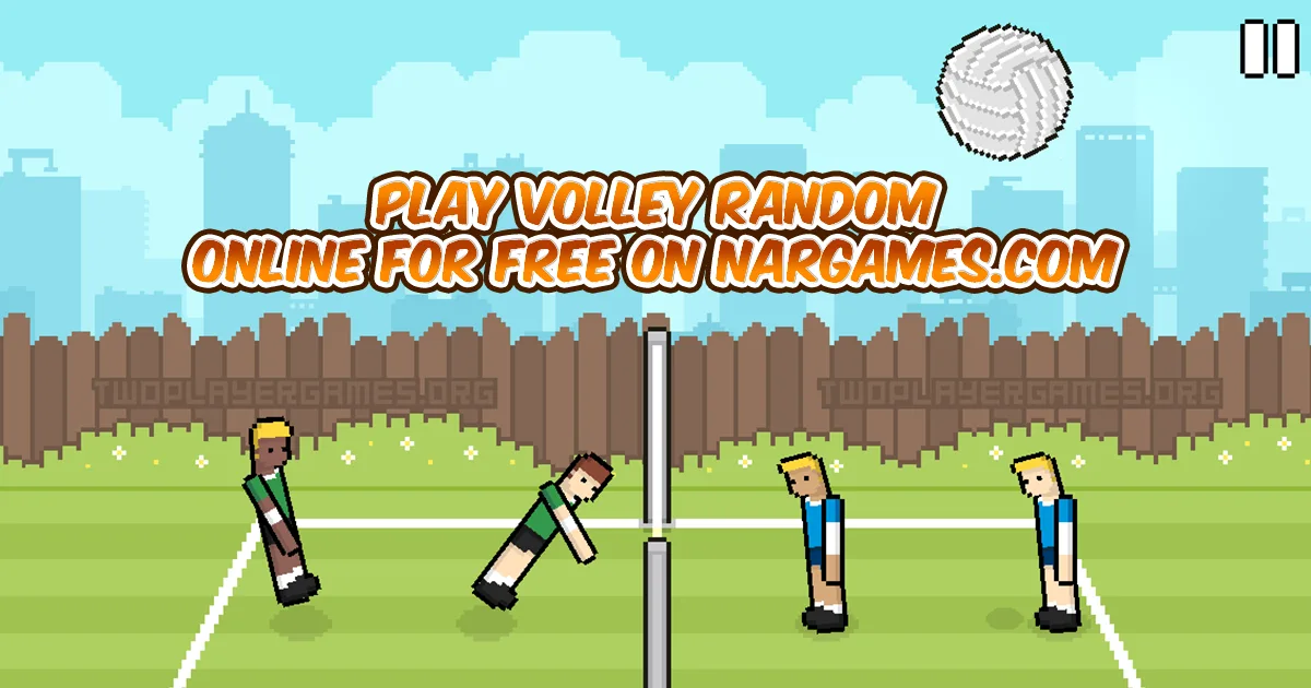 Play Volley Random online for free