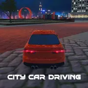 City Car Driving