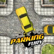 Parking Fury